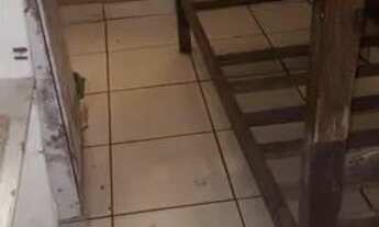 Imagem 5: SAIA DO ALUGUEL Casa com 2 dormitórios