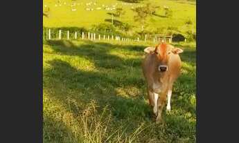 Imagem 2: Troca ou venda Casa em condomínio com venda por R$300.000
