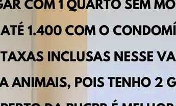 Imagem: PROCURO STUDIO OU APARTAMENTO PARA ALUGAR