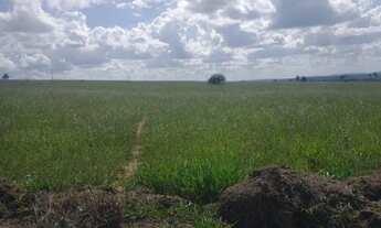 Imagem 4: Fazenda em Morro do Chapeu