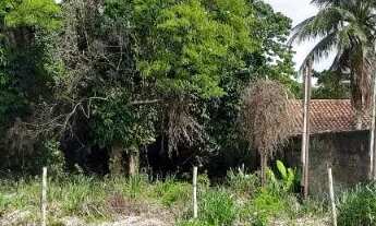 Imagem: Maravista lindo lote comercial plano e muito