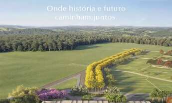 Imagem 2: Lote Fazenda Lumiar