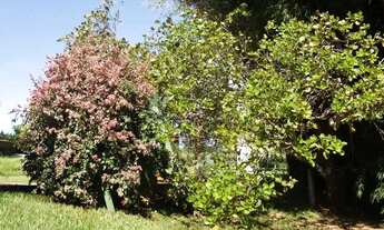 Imagem 5: Fazenda a venda, Município de Goiânia- Goiás!!!