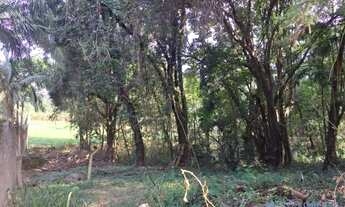 Imagem 11: TERRENO - COUNTRY CLUB - SP