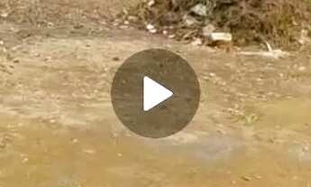 Imagem 3: Casa 149.900,00 ALZIRA RAMOS