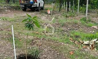 Imagem 6: TERRENO GRANDE - 7.080M2 - CERCADO