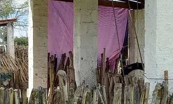 Imagem 7: Fazenda de criação pecuária