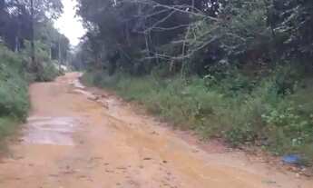 Imagem 3: Terreno no Tarumã medindo 10.000m²