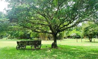 Imagem 6: Sítio à venda, 3 quartos, 10 vagas, Águas Claras VI (Águas Claras) - Viamão/RS