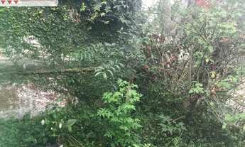 Imagem 2: Terreno a Venda com 397 M2 a Venda no Morro do Querosene