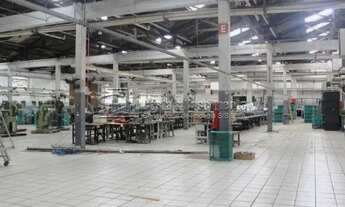 Imagem 2: Galpão para Locação em São Paulo - Vila Ribeiro de Barros