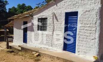 Imagem 7: Fazenda dupla aptidão - Bom Jardim de Goiás