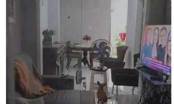 Imagem: Imóvel para aluguel tem 100 metros quadrados