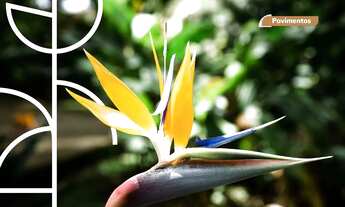 Imagem 6: Thai Residencial - na linda praia de CAMBOINHA. Apartamento Alto Padrão 3 Suítes. Entrega