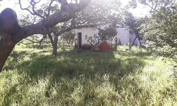 Imagem: Terreno/lote/chácara