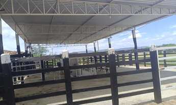 Imagem 7: Lindona, fazenda com 286t, casa sede curral completo, rio e pastagem pronta