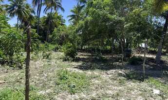 Imagem 7: Lotes disponíveis em lagoa redonda