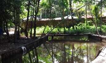 Imagem: R$160 mil Linda chácara no papuquara 40x60