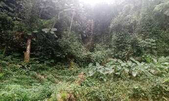 Imagem 4: OPORTUNIDADE 70 mil reais rica em agua