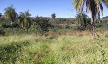 Imagem 4: Linda fazendinha de 30 mil metros, Serra do Cipo (Temos varias opções