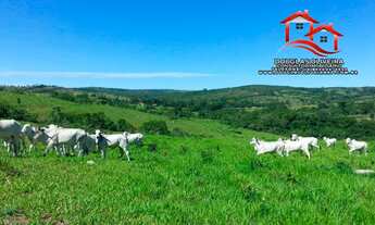 Imagem 4: Fazenda 319 Hectares Região De Nova Aurora -GO