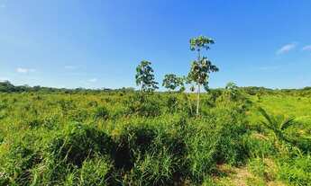 Imagem: Vendo Sítio 50 hectares na Alça Viária