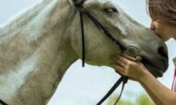 Imagem 7: Lotes, cachoeira do sauípe - loteamento a partir de 1000M² (B61