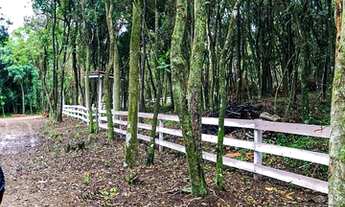 Imagem 2: Sítios em Rolante