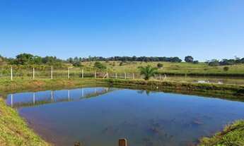 Imagem 4: Linda Chácara 2 alqueires e 5 litros Municipio de Ihumas GO