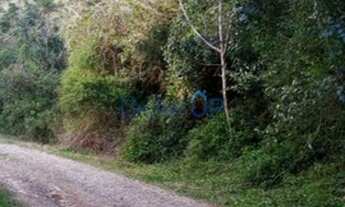 Imagem 3: Chácara em Kayser - Caxias do Sul