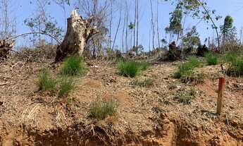 Imagem 6: Terreno com ruas abertas