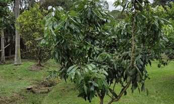 Imagem: EMBU GUAÇU - Chácara - CHÁCARA BONANZA