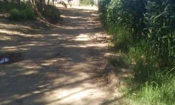 Imagem 6: Terreno a venda com qualidade de vida