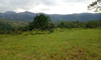 Imagem 7: Vendo terreno de 1000m²