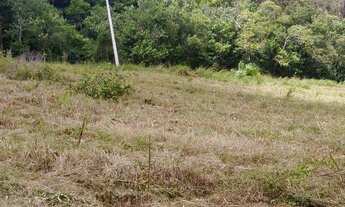 Imagem 4: Área à venda, 41874 m² por R$ 350.000,00 - Linha Imperial - Nova Petrópolis/RS