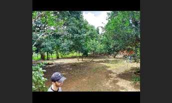 Imagem 3: Terrenos no setor de chácaras planaltina