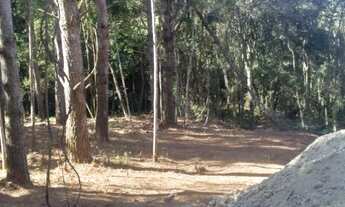 Imagem 5: Terreno para venda ZR 2 permutas