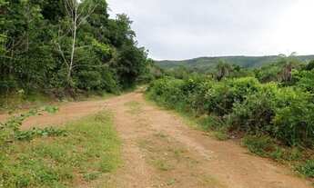 Imagem 6: Excelente Fazenda 107 alqueires município de Palmas Tocantins