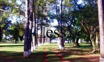 Imagem 4: Aluguel - Chácara - 3 dormitorios,sala,cozinha,2 garagem cobertas, 10 descoberta. Toda Ava