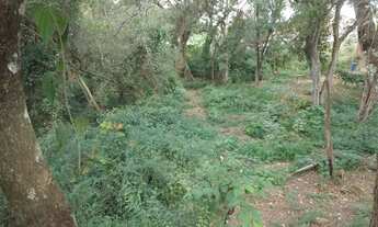 Imagem 6: Terreno em Jarinu SP / 300m² / Plano / Próximo a Comércio