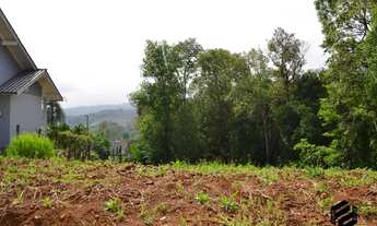 Imagem: DOIS IRMÃOS - Terreno Padrão - Industrial