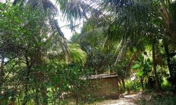 Imagem: Vendo terreno com documento