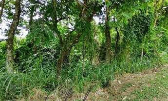 Imagem 3: Vinhedo - Loteamento/Condomínio - Condomínio São Joaquim