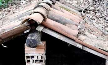 Imagem 4: Sitio São Jeronimo/São João à Venda em Triunfo-PE