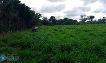 Imagem 5: Fazenda 210 alqueires Entre Espigão D' Oeste e Pimenta Bueno