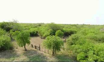 Imagem 6: Fazenda 500ha no Paraguai