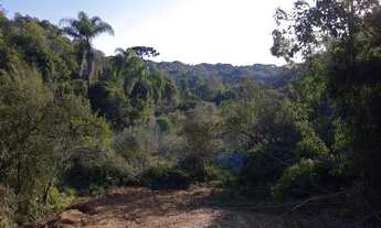 Imagem 2: Chácara á venda em Piraquara, no Roça nova