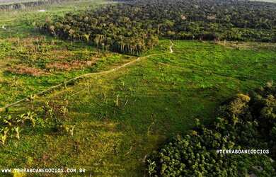 Imagem 3: FAZENDA 84 ALQUEIRES 50 ALQUEIRES DE ABERTURA CANDEIAS DO JAMARI/RO