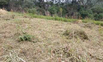 Imagem 5: Vendo terreno de 1000m²