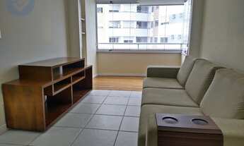 Imagem 5: FLORIANóPOLIS - Padrão - Capoeiras